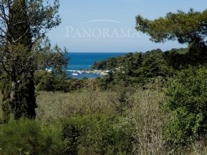 APARTMENT IN POREČ 300M FROM THE BEACH (00165)